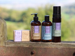 Organic Unperfumed Soap for Sensitive Skin Organic Pure English Lavender Essentials Gift Pack
