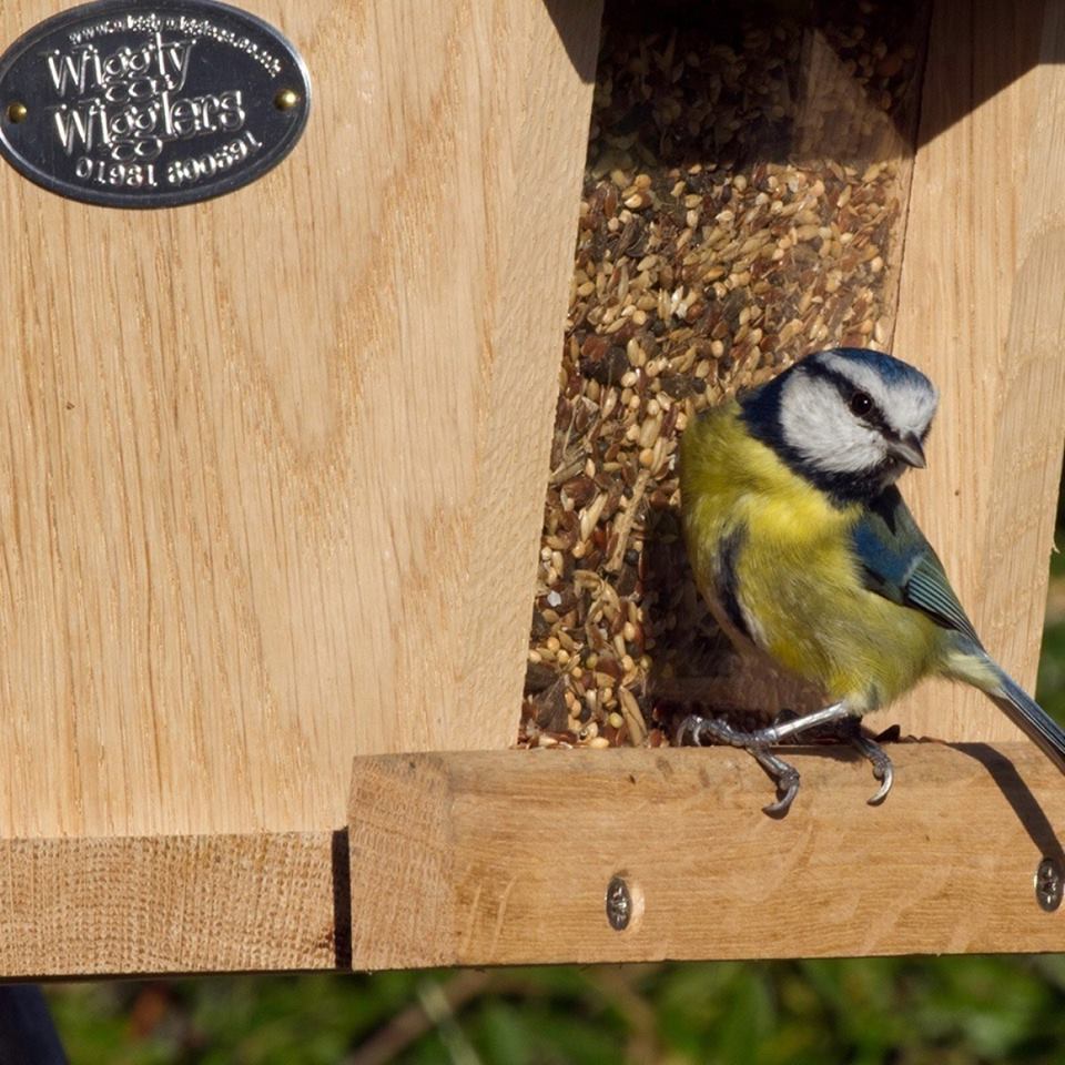 Wiggly Wigglers bird feeder. Sharing independent shops online at Love Our Shops UK
