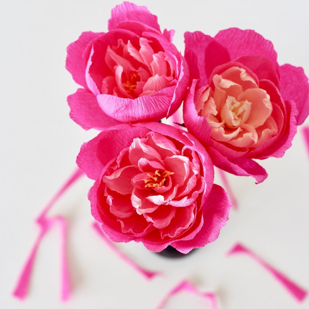 Paper Posies bright pink. Sharing independent online shops at Love Our Shops UK