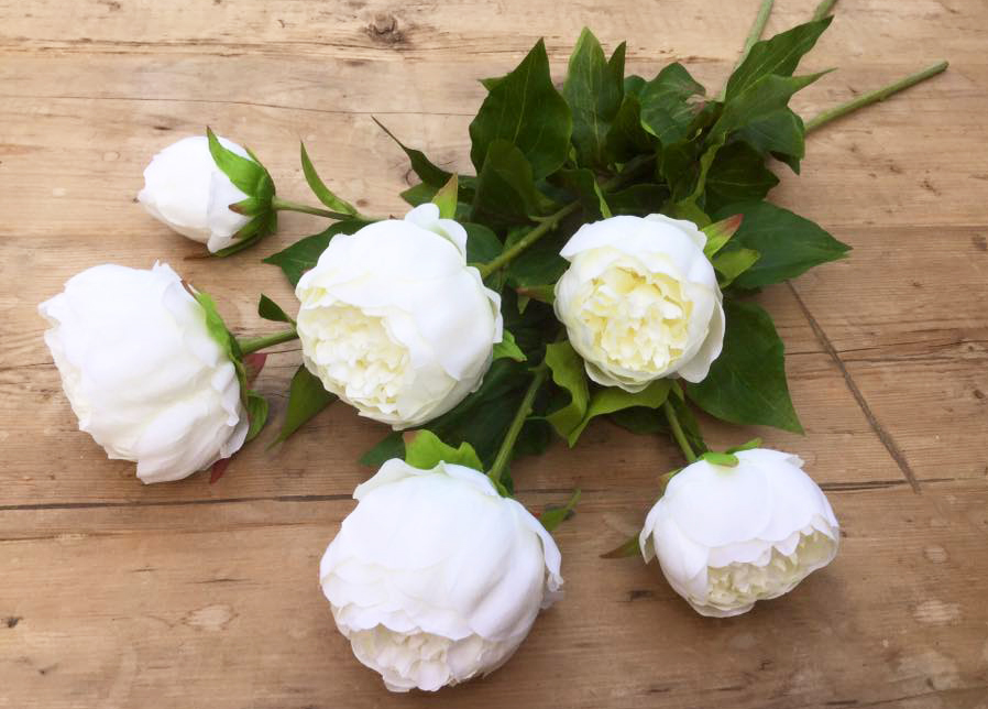 Funky Bunch white peonies. Sharing independent shops online at Love Our Shops UK
