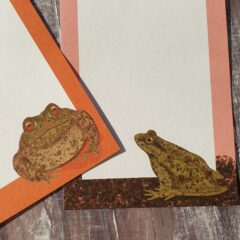 Persevere Hard Enamel Lapel Pin Toad and Frog Gift Notes – set of 4