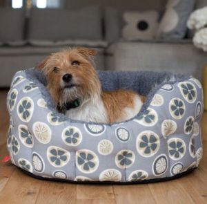 Poppy and Rufus dog bed in poppy fabric. Dog products shop online. Find independent online shops at Love Our Shops UK shopping directory.