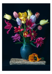 SN Cards Tulips Greetings Card
