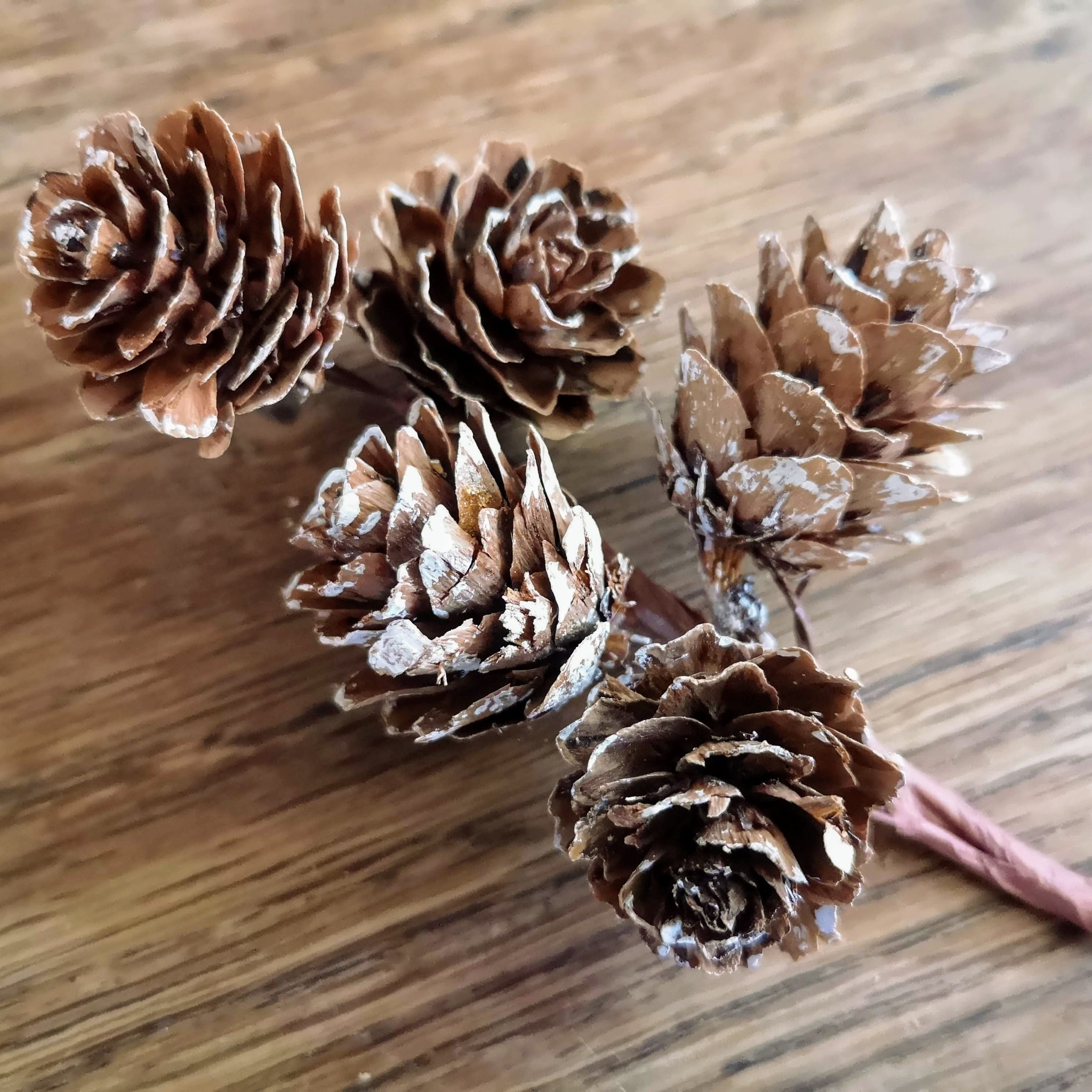 Seasons Green pinecone cluster. Shop independent this Christmas with Love Our Shops UK.