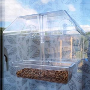 Wiggly Wigglers window bird feeder. Composting and bird feeding online. Shop independent at Love Our Shops UK shopping directory.