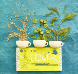 Art Greetings Cards Growbar – Various Options Including ‘Tea’, ‘Gin’, Pizza Herbs’, ‘Beer’ and ‘Chilli’