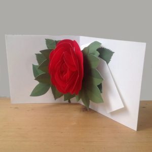Red Hen Trading pop up 2d card red rose. Independent Gift shop online in the UK. See it at Love Our Shops UK shopping directory.