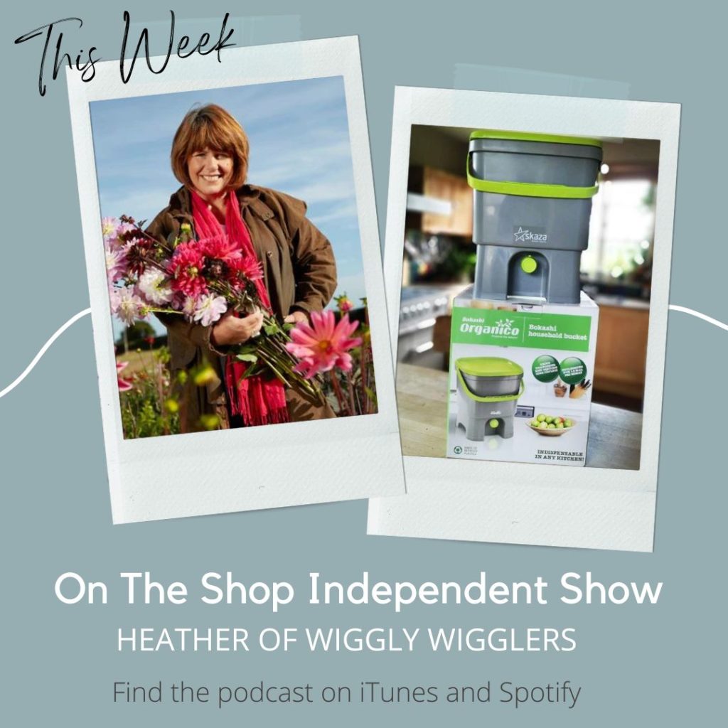 Heather of Wiggly Wigglers on Shop Independent Show