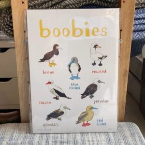 Red Hen Trading - Boobies Print